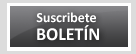 boton, pinchando sobre el accederas al formulario para suscribirte al boletin del grupo espa�ol del carbon